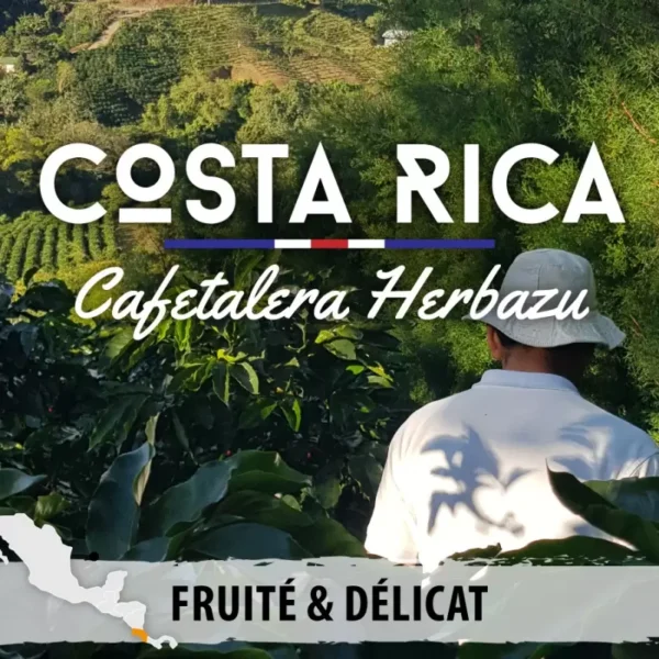 Costa Rica - Cafetalera Herbazu - café en grain – Image 2