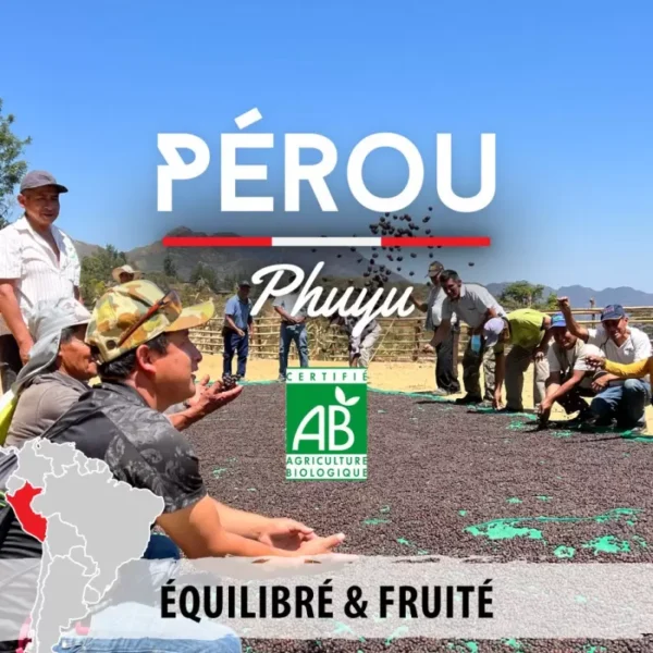 Pérou BIO - Phuyu - café en grain – Image 2
