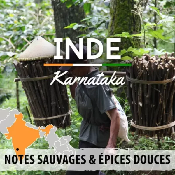 Inde - Malabar Moussoné Karnataka 1kg – Image 2